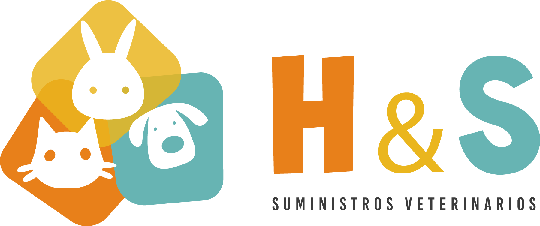 Copia de LOGO-H&S