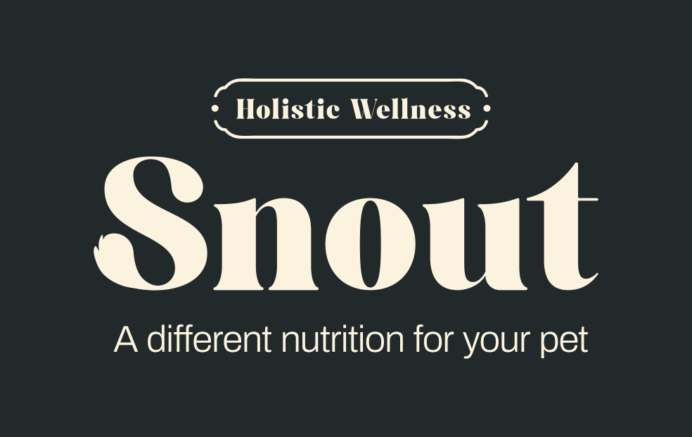 Copia de logoSnoutH_page-0001